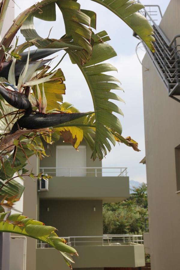 Kamares Apts - Antonis Cozy Maisonette Chania  Eksteriør billede